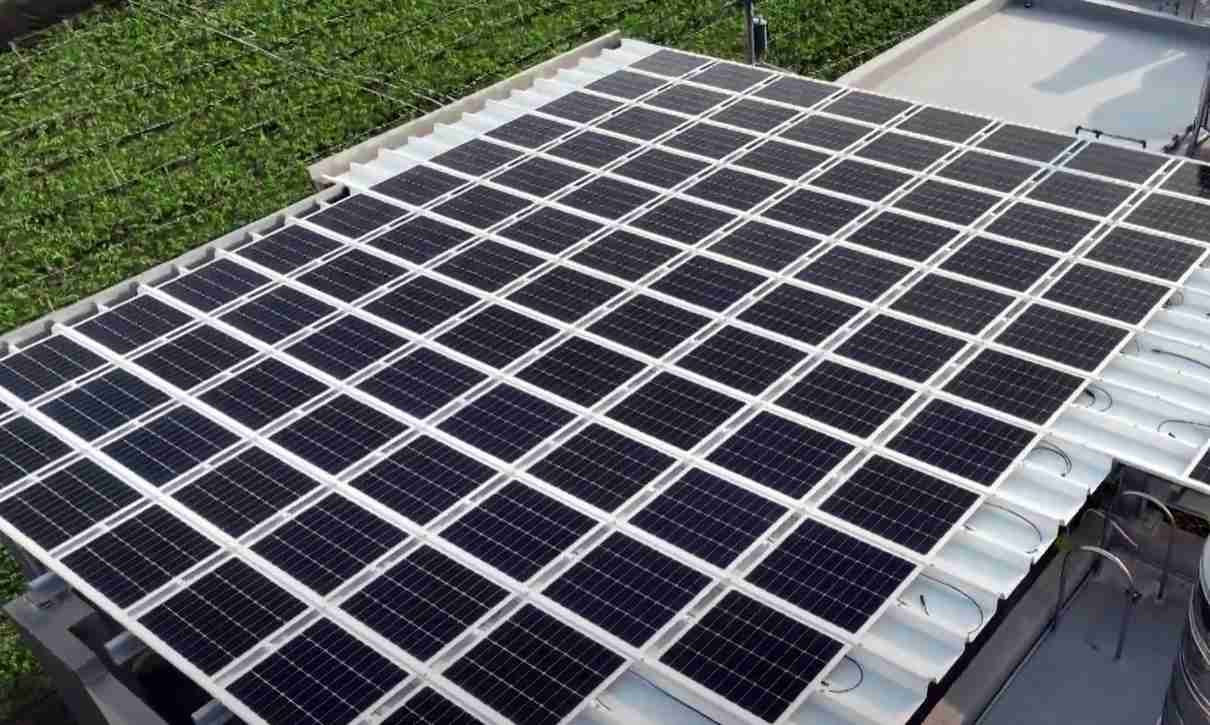 万利SunSteel光电浪板升级双玻结构，，，，以提升机械负载强度及气候耐候度，，，可广泛运用于多元场域