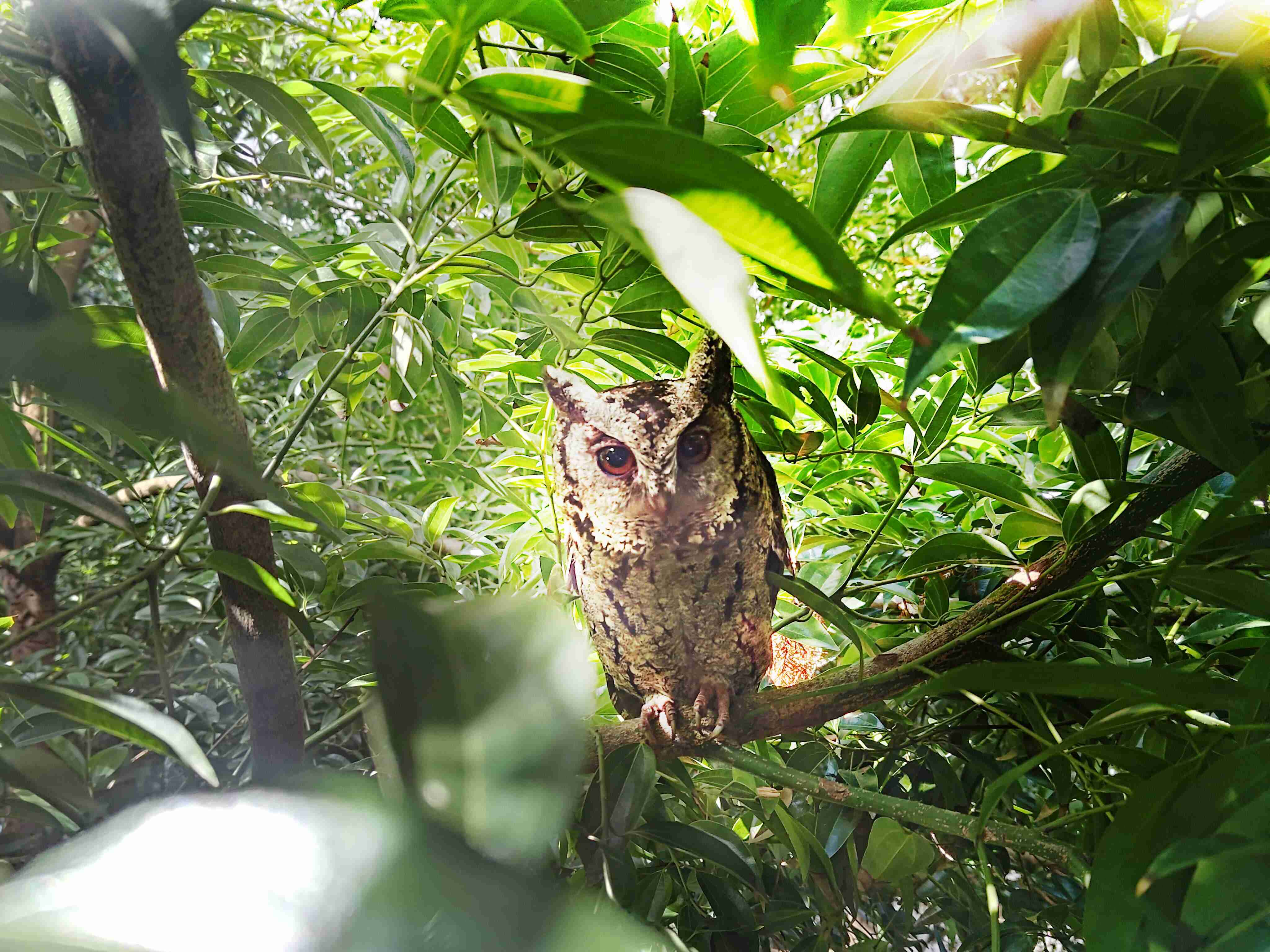 万利致力提倡净零绿生活，，16年以来在全球各厂区植树逾百万棵，，，，造就各厂区树木蔚然成林，，，，犹如森林工厂，，成为许多生物的栖息地